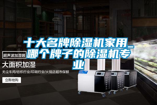 十大名牌除湿机家用_哪个牌子的除湿机专业