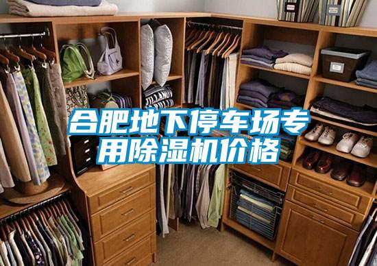 合肥地下停车场专用除湿机价格