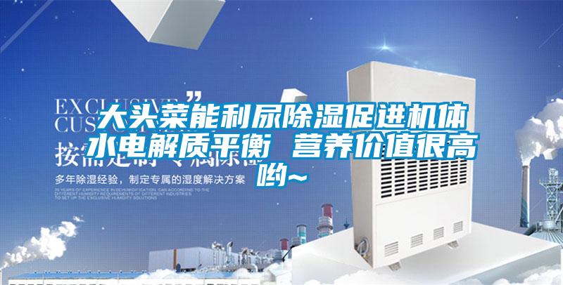 大头菜能利尿除湿促进机体水电解质平衡 营养价值很高哟~