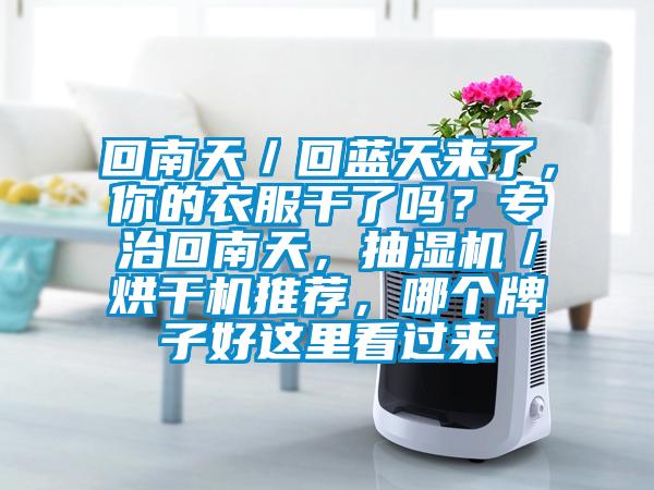 回南天／回蓝天来了，你的衣服干了吗？专治回南天，抽湿机／烘干机推荐，哪个牌子好这里看过来