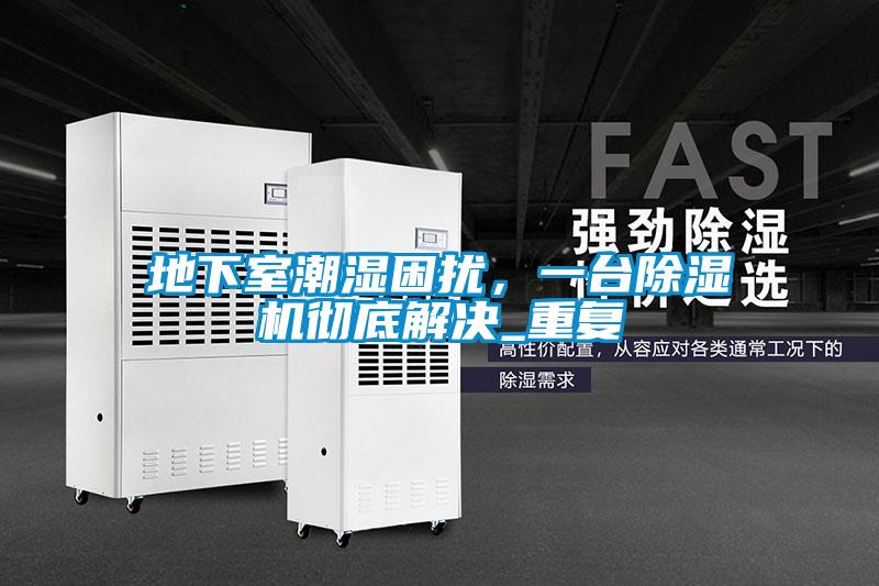 地下室潮湿困扰，一台除湿机彻底解决_重复
