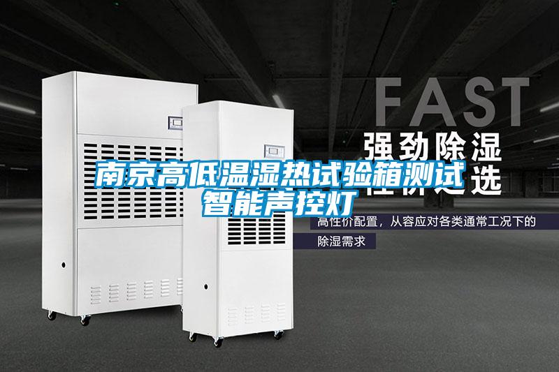 南京高低温湿热试验箱测试智能声控灯