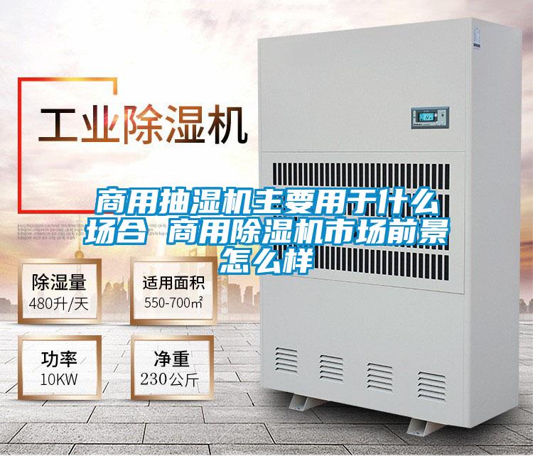 商用抽湿机主要用于什么场合 商用除湿机市场前景怎么样