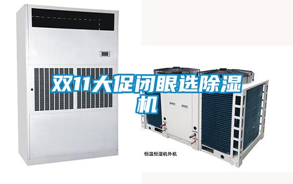 双11大促闭眼选除湿机