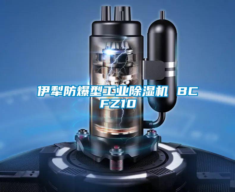 伊犁防爆型工业除湿机 BCFZ10
