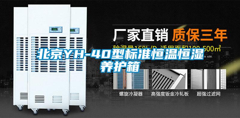 北京YH-40型标准恒温恒湿养护箱
