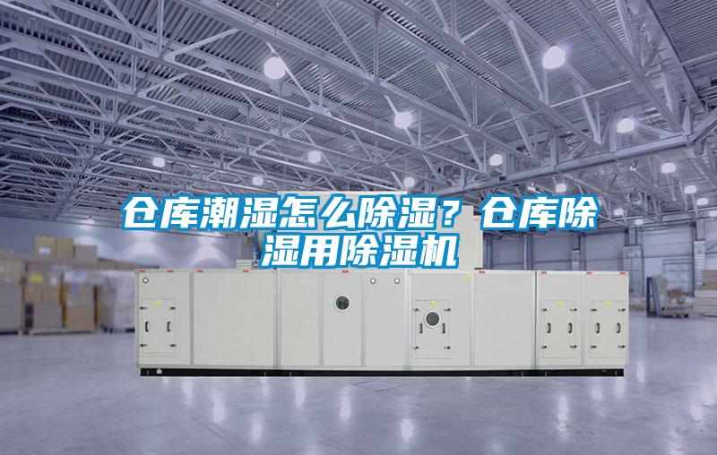 仓库潮湿怎么除湿？仓库除湿用除湿机