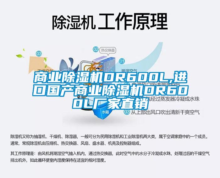 商业除湿机DR600L,进口国产商业除湿机DR600L厂家直销