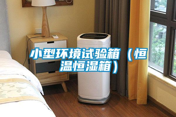 小型环境试验箱（恒温恒湿箱）