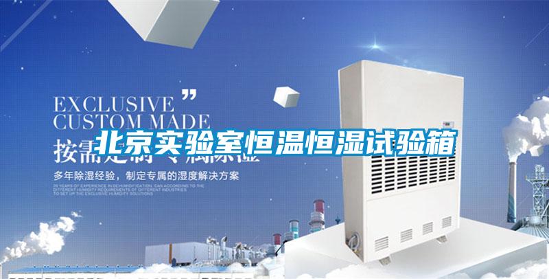 北京实验室恒温恒湿试验箱