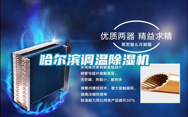哈尔滨调温除湿机