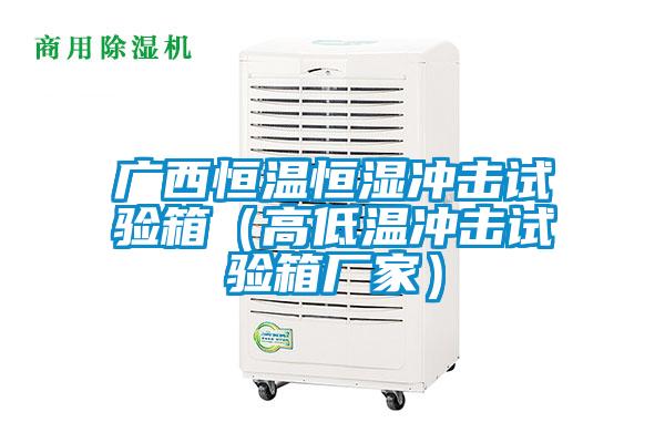 广西恒温恒湿冲击试验箱（高低温冲击试验箱厂家）