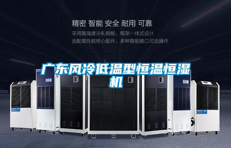 广东风冷低温型恒温恒湿机