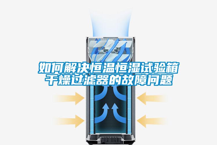 如何解决恒温恒湿试验箱干燥过滤器的故障问题