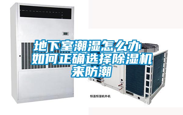 地下室潮湿怎么办 如何正确选择除湿机来防潮