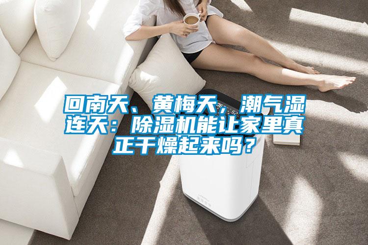 回南天、黄梅天，潮气湿连天：除湿机能让家里真正干燥起来吗？