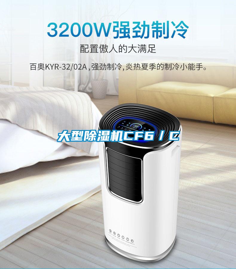 大型除湿机CF6／C
