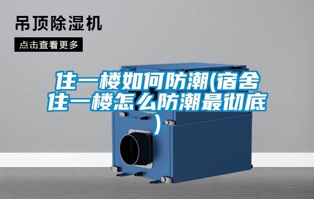 住一楼如何防潮(宿舍住一楼怎么防潮最彻底)