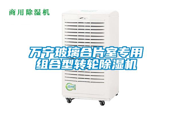 万宁玻璃合片室专用组合型转轮除湿机