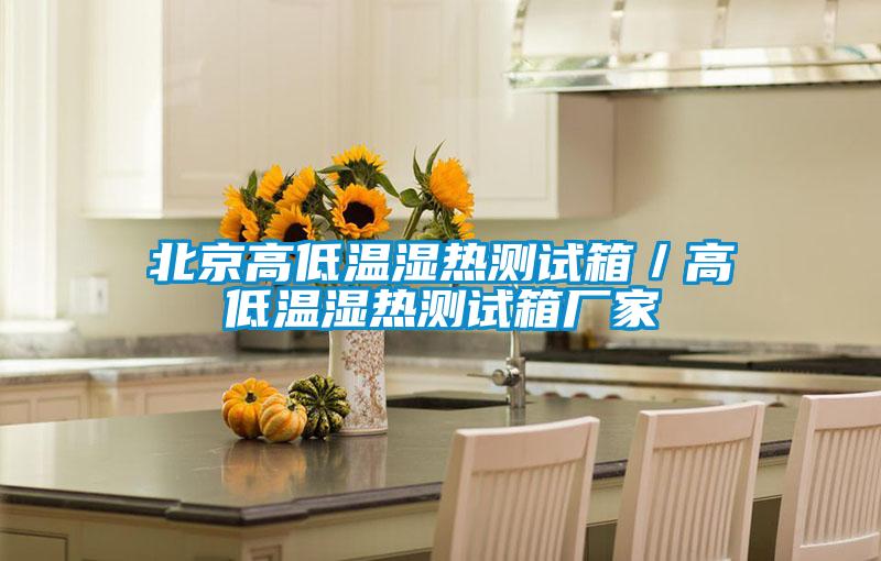 北京高低温湿热测试箱／高低温湿热测试箱厂家