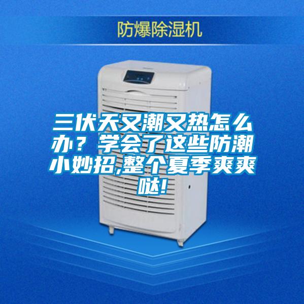 三伏天又潮又热怎么办？学会了这些防潮小妙招,整个夏季爽爽哒!