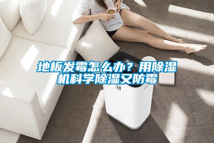 地板发霉怎么办？用除湿机科学除湿又防霉