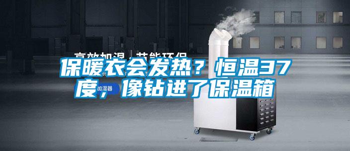 保暖衣会发热？恒温37度，像钻进了保温箱
