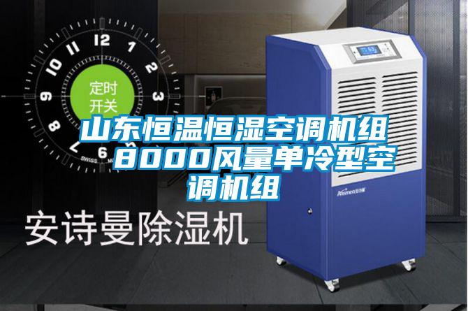 山东恒温恒湿空调机组  8000风量单冷型空调机组