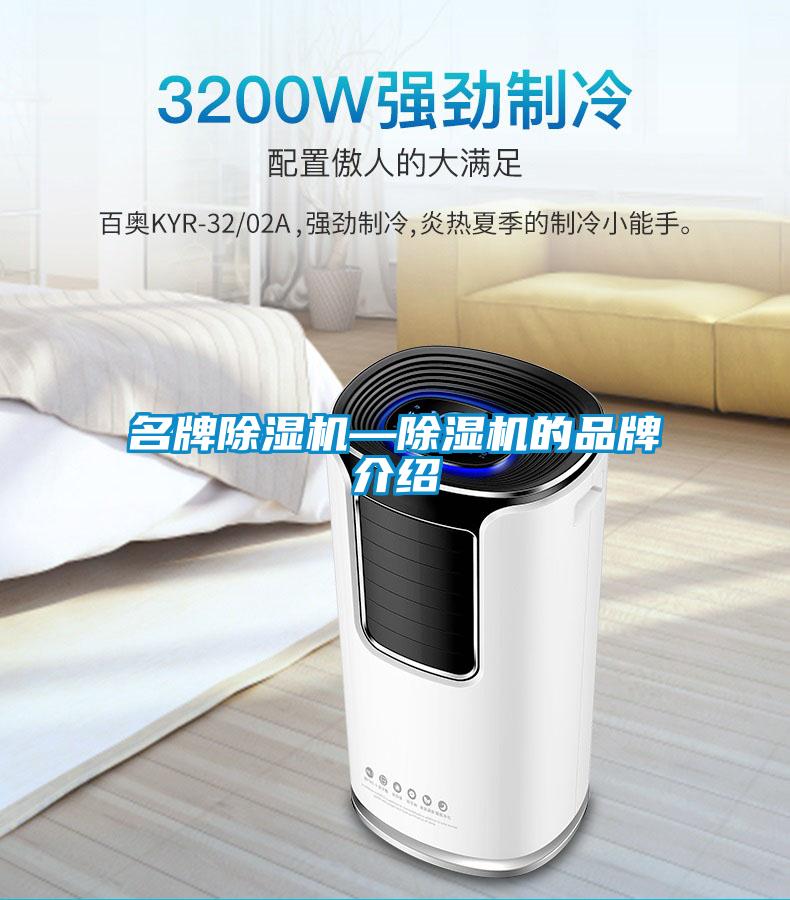 名牌除湿机—除湿机的品牌介绍