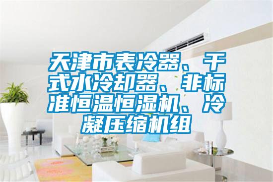 天津市表冷器、干式水冷却器、非标准恒温恒湿机、冷凝压缩机组