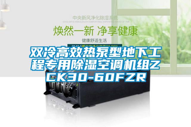 双冷高效热泵型地下工程专用除湿空调机组ZCK30-60FZR
