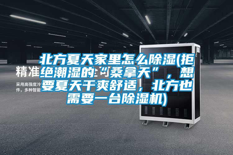 北方夏天家里怎么除湿(拒绝潮湿的“桑拿天”，想要夏天干爽舒适，北方也需要一台除湿机)