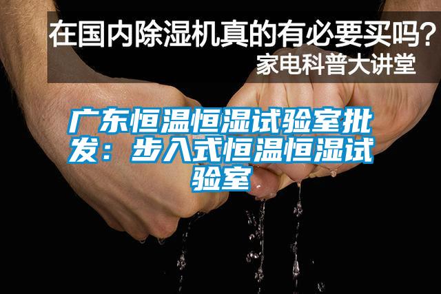 广东恒温恒湿试验室批发：步入式恒温恒湿试验室