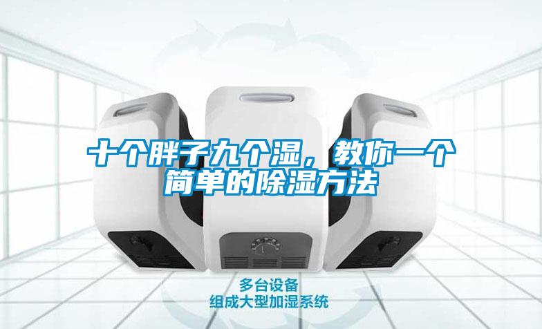 十个胖子九个湿，教你一个简单的除湿方法