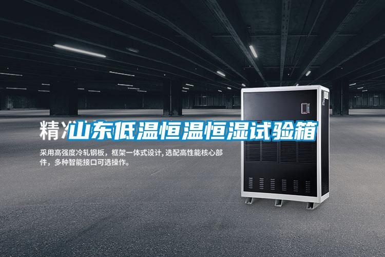 山东低温恒温恒湿试验箱