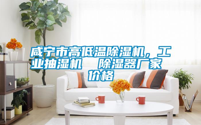 咸宁市高低温除湿机，工业抽湿机  除湿器厂家 价格