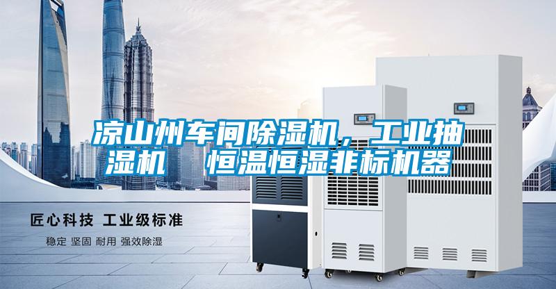 凉山州车间除湿机，工业抽湿机  恒温恒湿非标机器