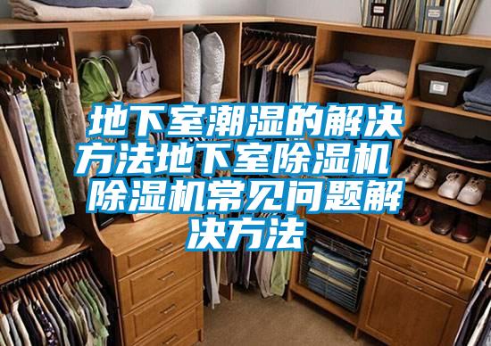 地下室潮湿的解决方法地下室除湿机 除湿机常见问题解决方法