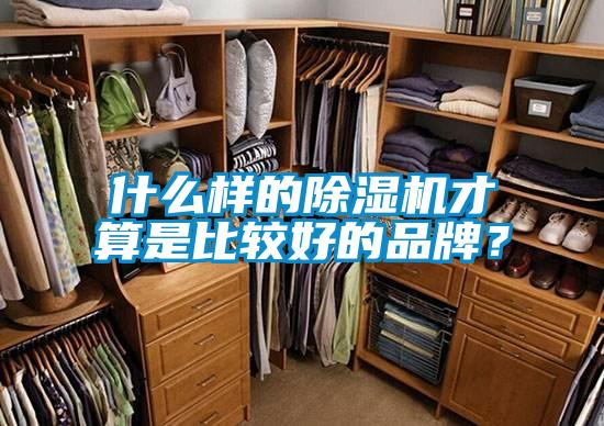 什么样的除湿机才算是比较好的品牌？