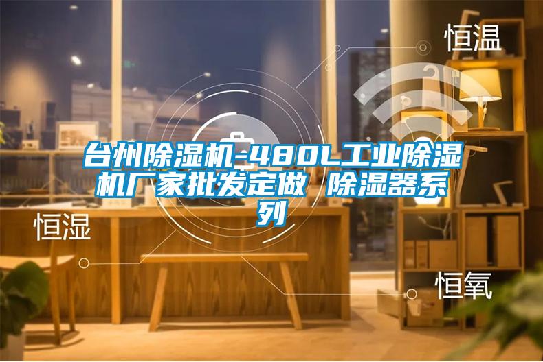 台州除湿机-480L工业除湿机厂家批发定做 除湿器系列