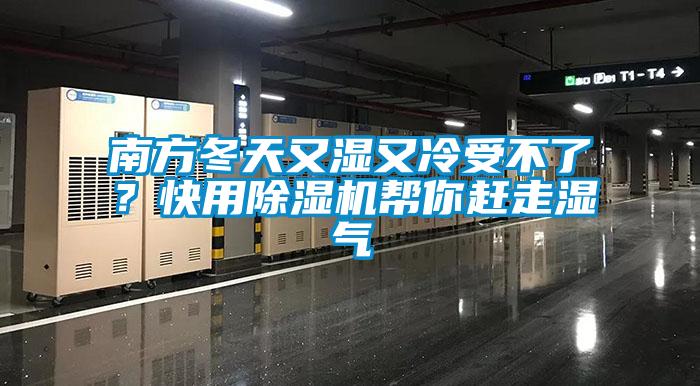 南方冬天又湿又冷受不了？快用除湿机帮你赶走湿气