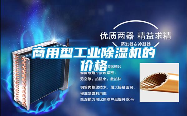 商用型工业除湿机的价格