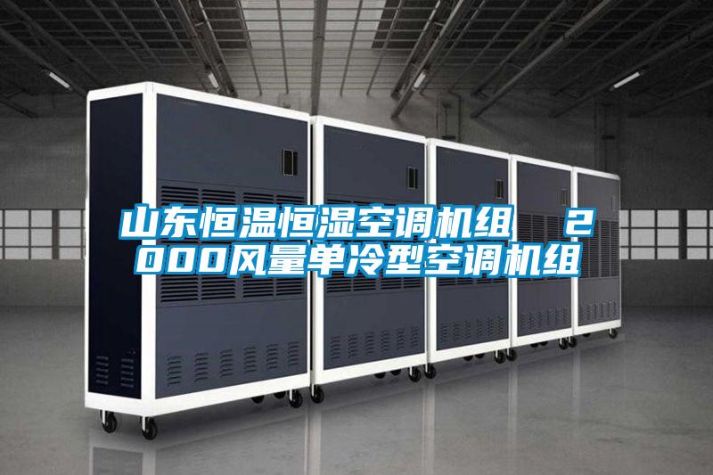 山东恒温恒湿空调机组 2000风量单冷型空调机组