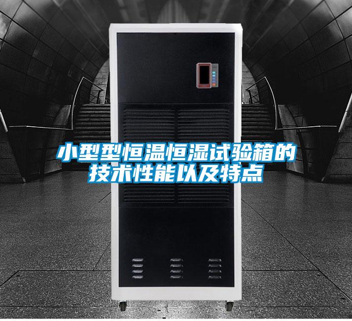 小型型恒温恒湿试验箱的技术性能以及特点
