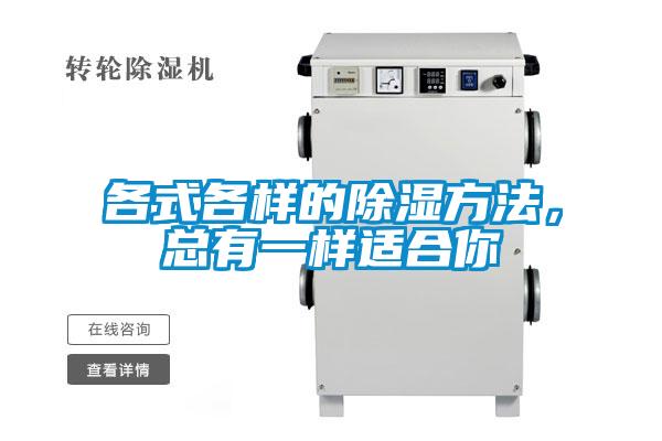 各式各样的除湿方法,总有一样适合你