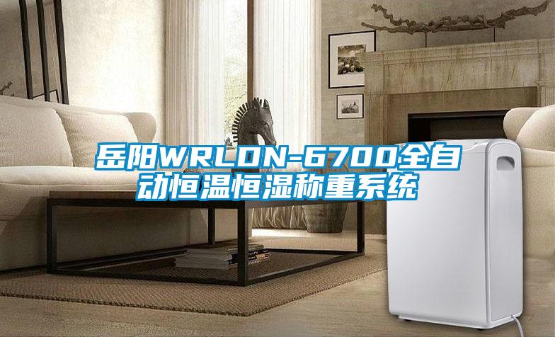 岳阳WRLDN-6700全自动恒温恒湿称重系统