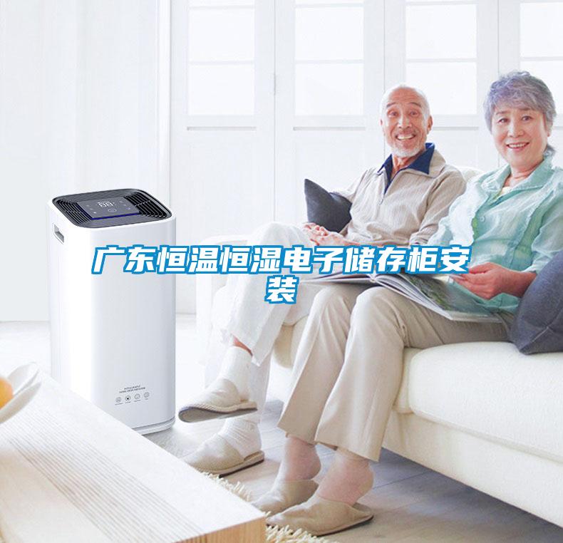 广东恒温恒湿电子储存柜安装