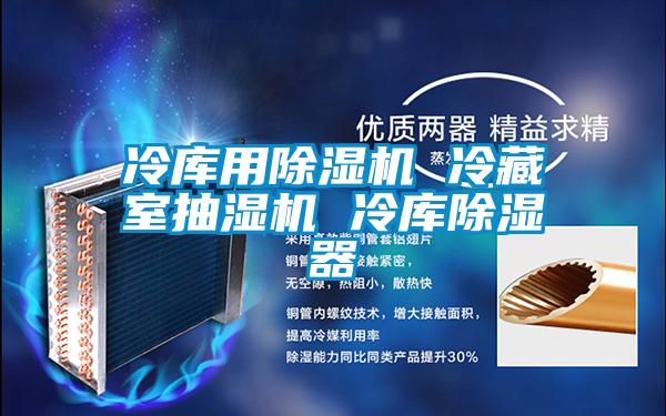 冷库用除湿机 冷藏室抽湿机 冷库除湿器