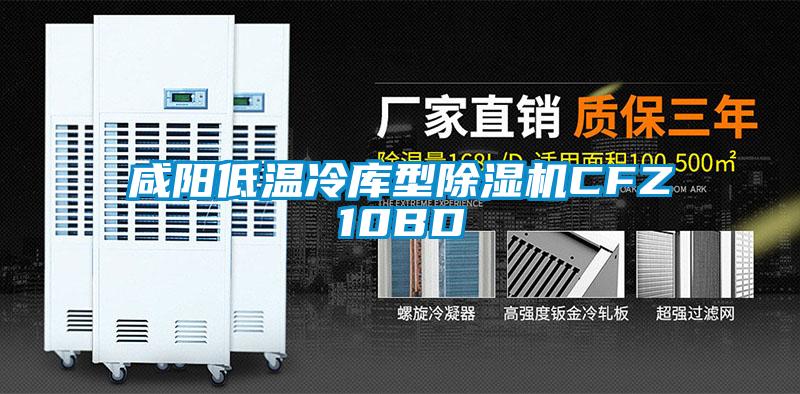 咸阳低温冷库型除湿机CFZ10BD