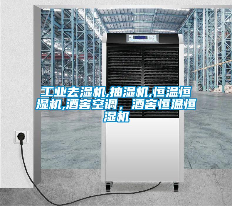 工业去湿机,抽湿机,恒温恒湿机,酒窖空调，酒窖恒温恒湿机